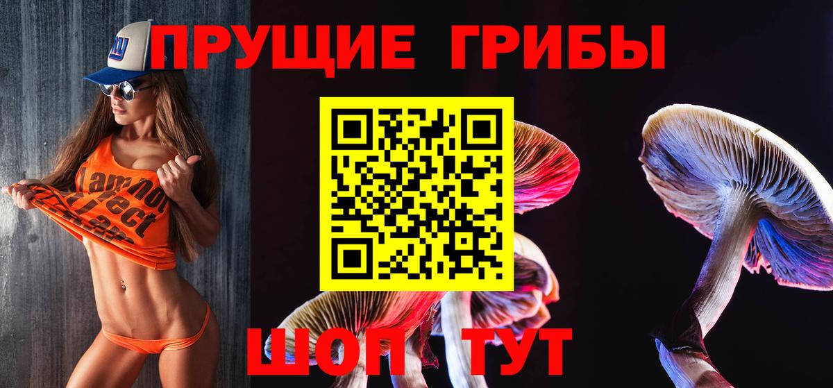 Зеленодольск  Галлюциногенные грибы мухоморы  Вход с VPN  даркнет сайт  Галлюциногенные грибы Magic Shrooms 